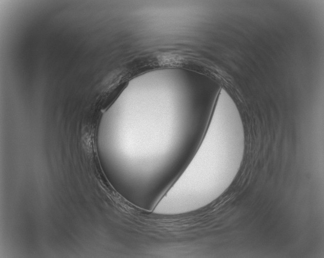 X0000058110329200509230827