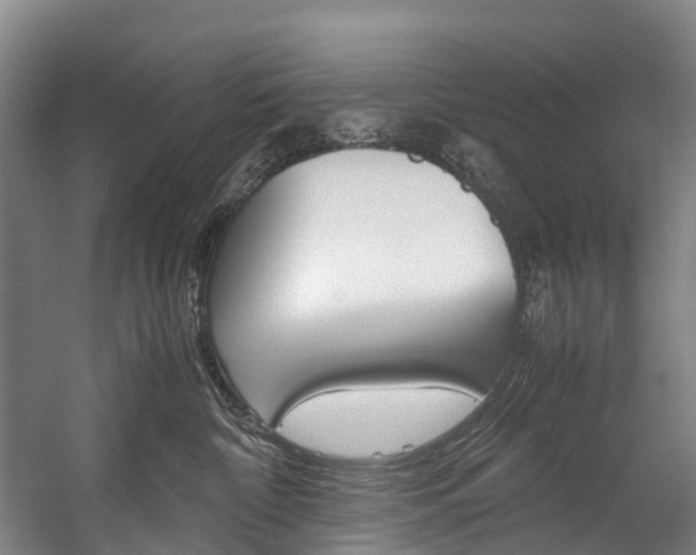 X0000058110332200509230827