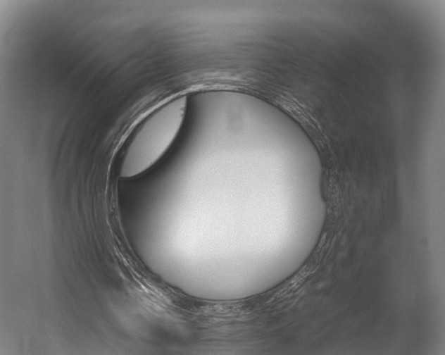 X0000058110338200509230826