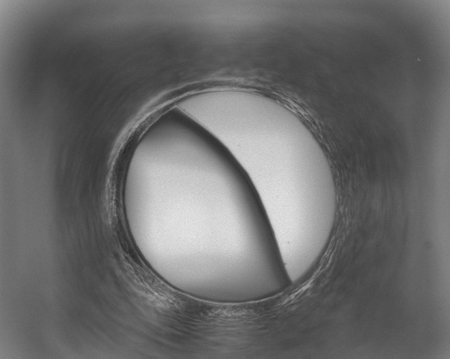 X0000058110343200509230826