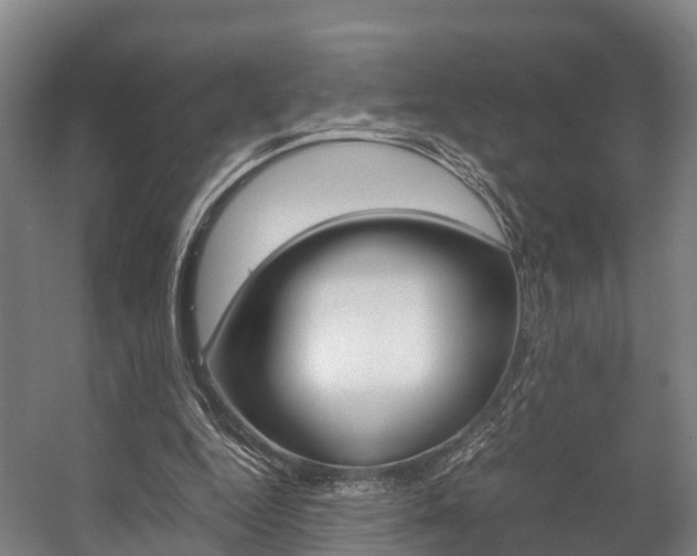 X0000058110344200509230826