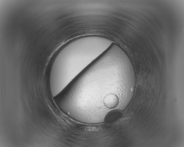 X0000058110347200509230826