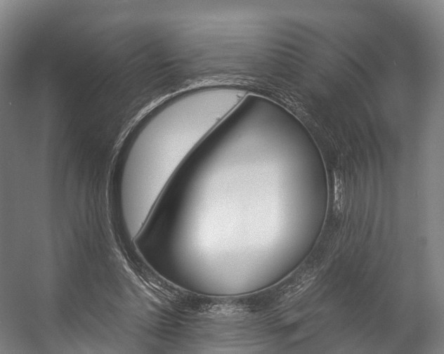 X0000058110348200509230826