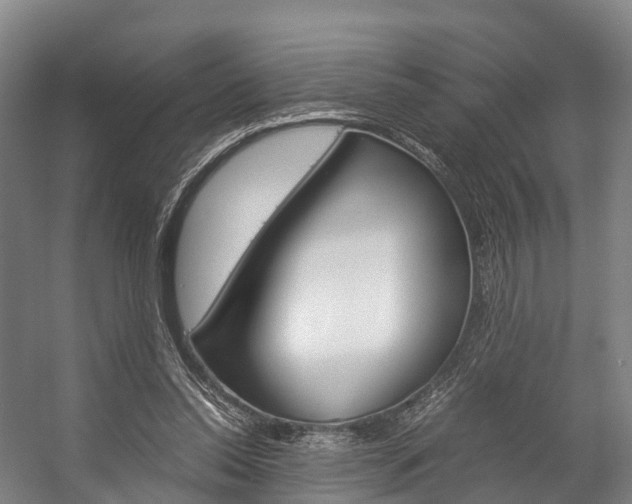 X0000058110350200509230826