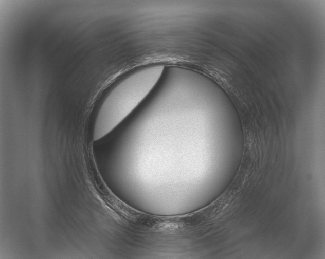 X0000058110352200509230826