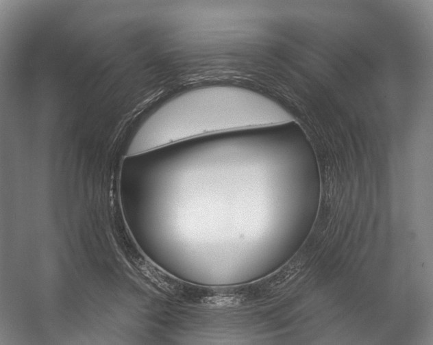 X0000058110356200509230826