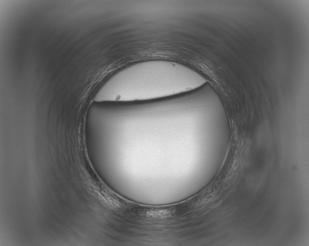 X0000058110357200509230826