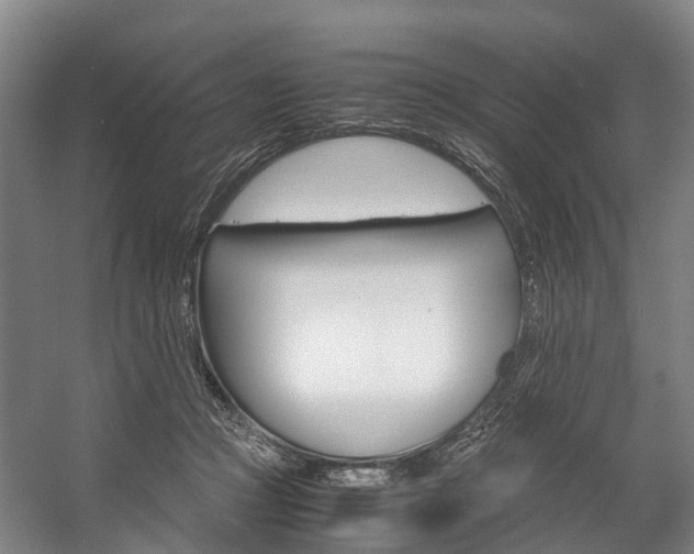 X0000058110361200509230826