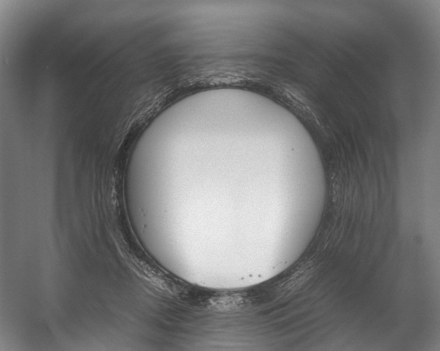 X0000058110362200509230826