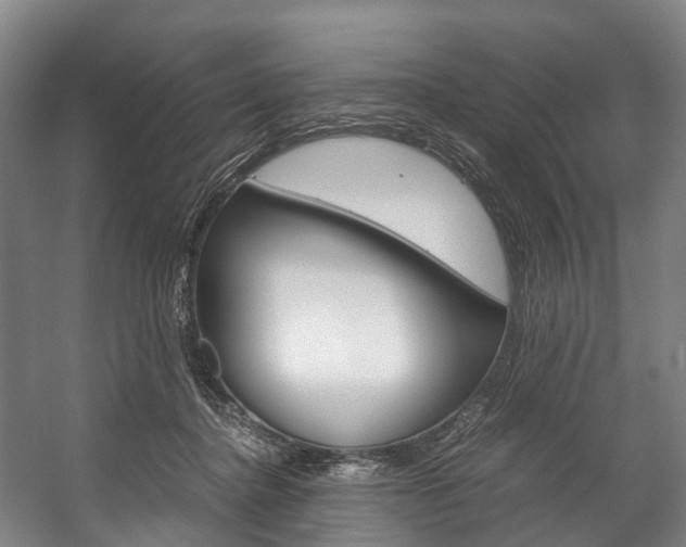 X0000058110364200509230826