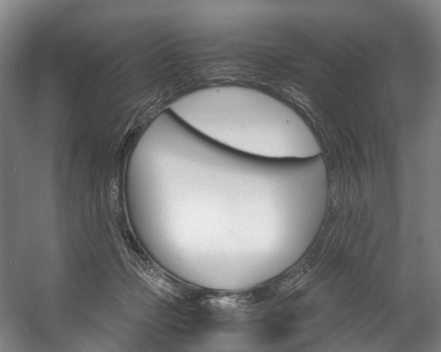 X0000058110365200509230826