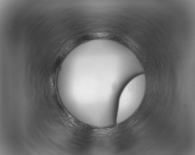 X0000058110373200509230826