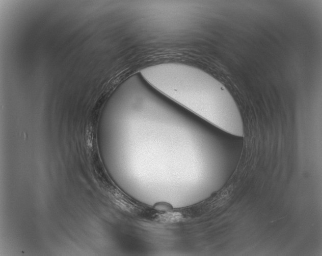 X0000058110374200509230826