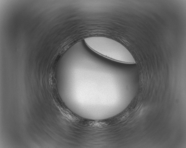X0000058110379200509230826