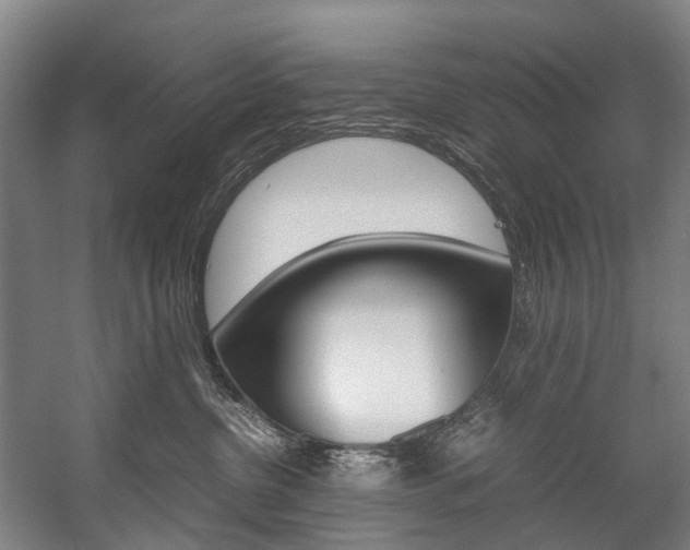 X0000058110380200509230826