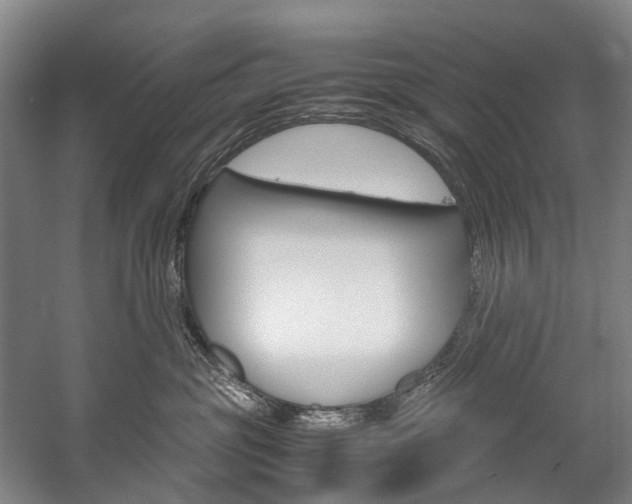 X0000058110381200509230826