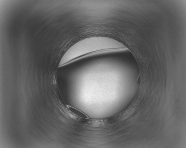 X0000058110384200509230826