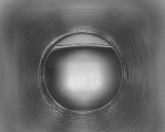 X0000058110388200509230826
