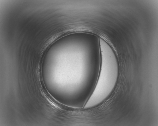 X0000058110389200509230826