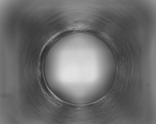 X0000058110392200509230826
