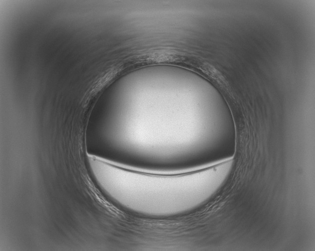 X0000058110393200509230825