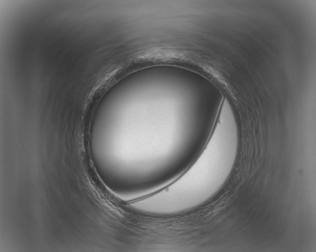 X0000058110399200509230825