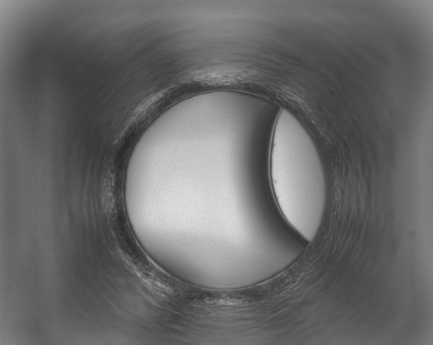 X0000058110400200509230825