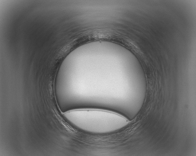 X0000058110401200509230825