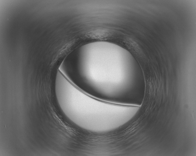 X0000058110404200509230825