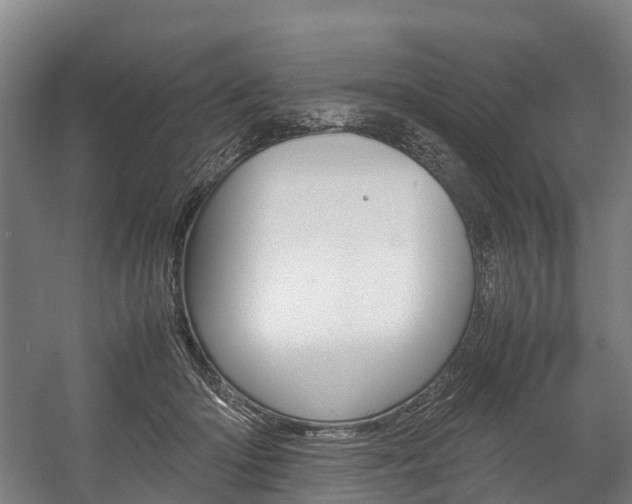 X0000058110414200509230825