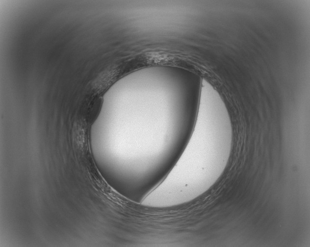 X0000058110417200509230825