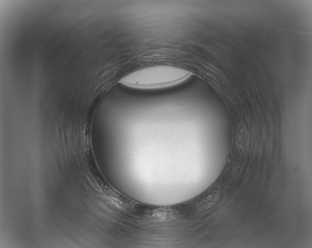 X0000058110420200509230825