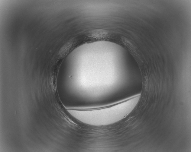 X0000058110428200509230825