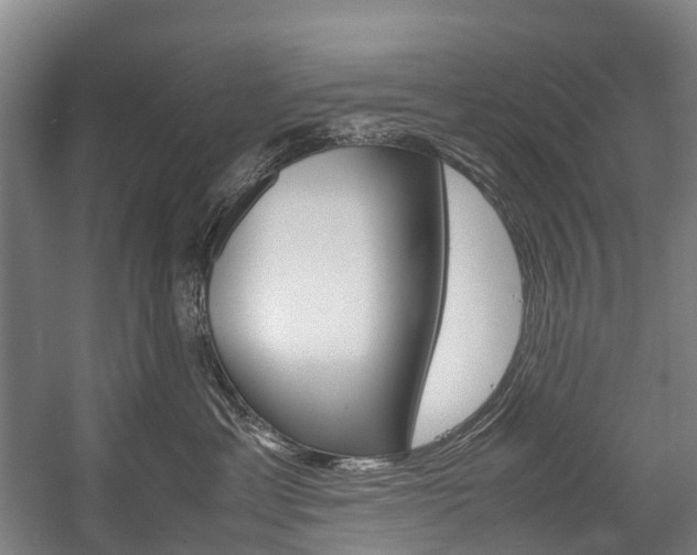X0000058110429200509230825