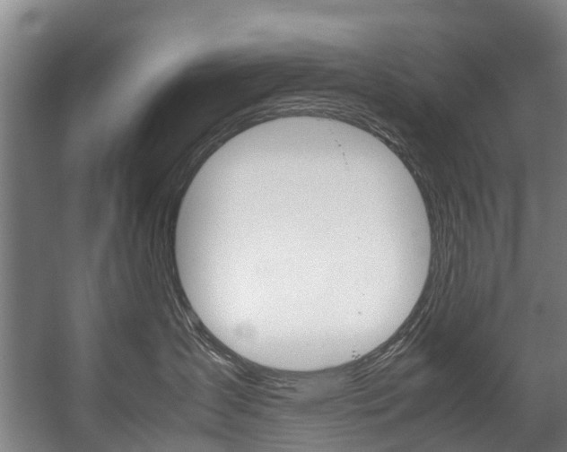 X0000058110431200509230825