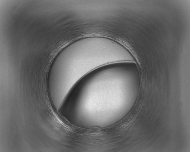 X0000058110433200509230824