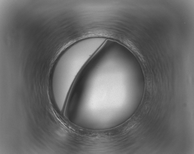 X0000058110434200509230824