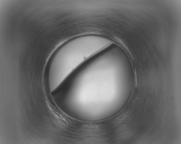 X0000058110435200509230824