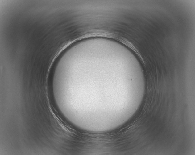 X0000058110436200509230824