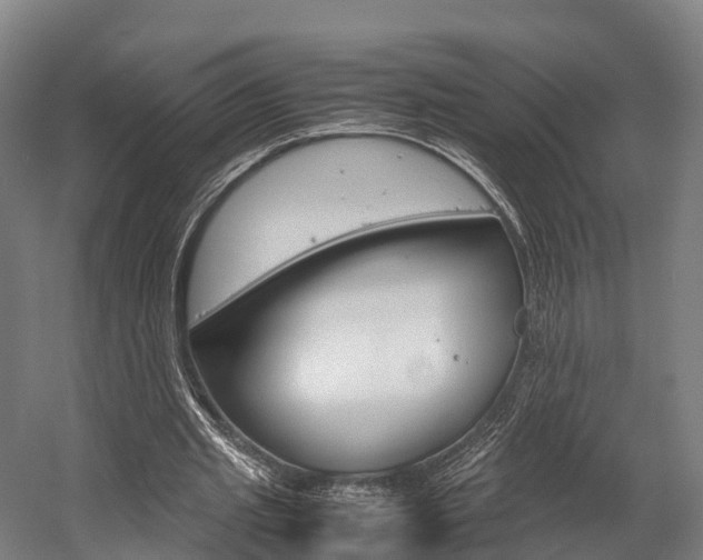 X0000058110437200509230824