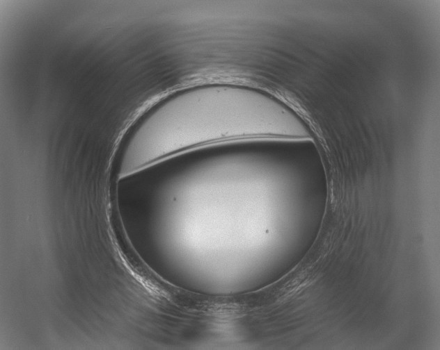 X0000058110438200509230824