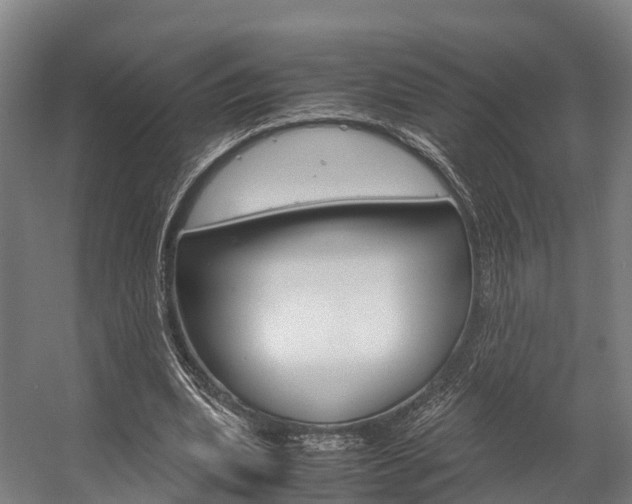 X0000058110439200509230824
