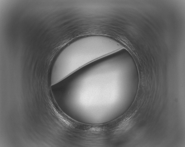 X0000058110441200509230824