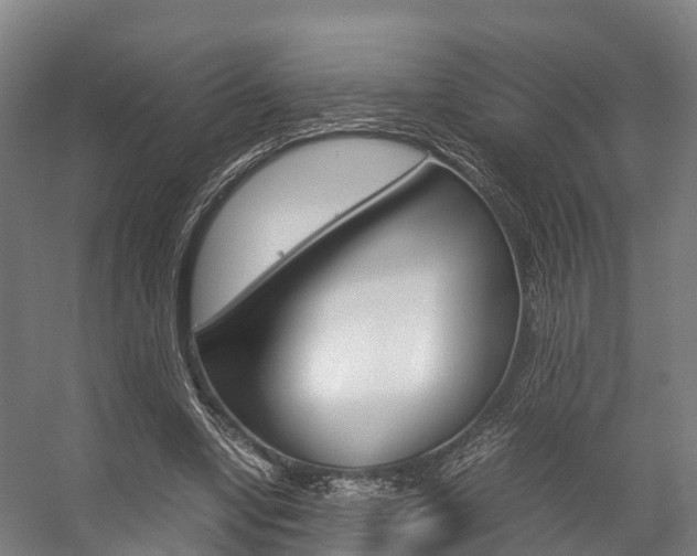 X0000058110442200509230824