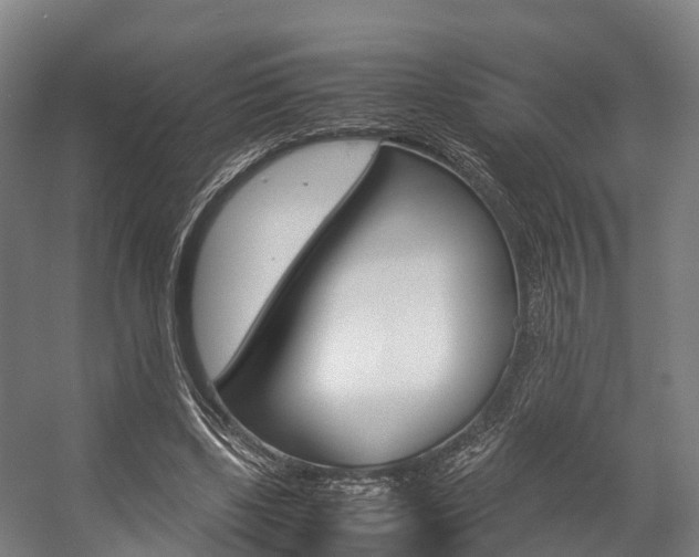 X0000058110443200509230824