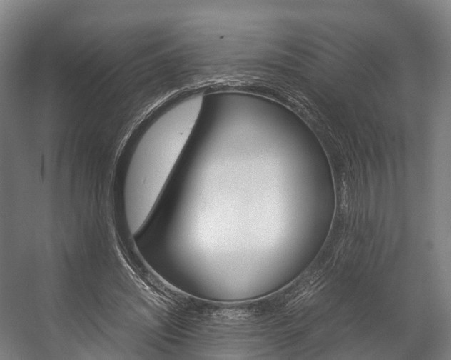 X0000058110444200509230824