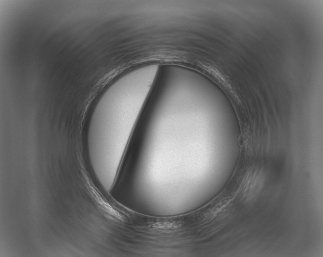 X0000058110445200509230824