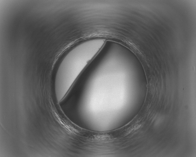 X0000058110446200509230824