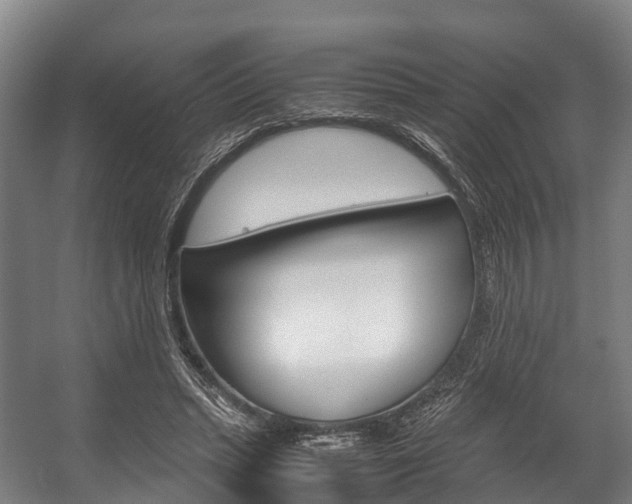 X0000058110447200509230824