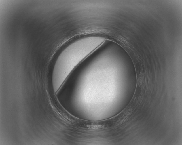 X0000058110448200509230824